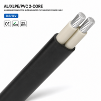 AL/XLPE/PVC 2-adriges Aluminium-Leistungskabel mit XLPE-Isolierung und PVC-Mantel 4x50mm² 0,6 1kV Stromübertragung