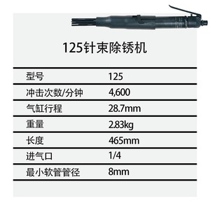 อิงเกอร์ซอลล์ แรนด์ IR125 แอร์ชีเซล 125 เครื่องมือลมกำจัดสนิมแบบเข็ม - Product Image 1