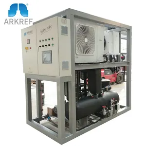 Blast dondurucu odası için ARKREF CO2 soğutma ekipmanları yoğuşmalı ünite