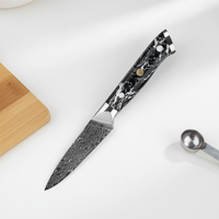 Couteau de cuisine KEENHOPE en acier Damas japonais AUS-10, couteau à éplucher de 3,5 pouces avec manche en pierre turquoise noire et résine composite