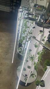 Serres agricoles système d'agriculture aéroponique vertical tour de culture hydroponique <span class=keywords><strong>jardin</strong></span> système hydroponique vertical - Product Image 3