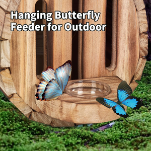 Nueva casa <span class=keywords><strong>de</strong></span> madera para insectos con cuerda para colgar - Hotel perfecto para <span class=keywords><strong>mariposas</strong></span> y abejas y <span class=keywords><strong>refugio</strong></span> para insectos benéficos - Product Image 5