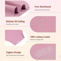 String et culotte en string pour femmes sexy Oem sans couture tricotées modèles teints unis sous-vêtements pour femmes adultes