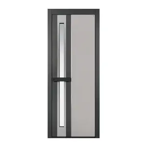 Metallo moderno porte d'ingresso per case personalizzabili Design dimensioni colore