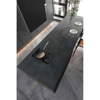 Dalle acrylique Staron Color, grande dalle de 6 à 30 mm, sans joint, résistante aux taches, pour plan de travail