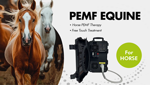 Non Invasive Veterinary Magnetic Therapy Machine Pemf Technology for Animal Inflammation Reduction - Product Image 2