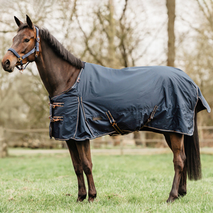 Checkered Horses with Neck Cover Breathable Anti Mosquito Horse <strong>Rug</strong> Check Horse Detachable Neck for Outdoor Equestrian Use - Product Image 4