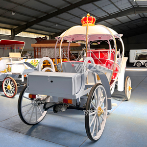 รถม้าแต่งงานสุดหรูแบบซินเดอเรลล่า พร้อมม่านกันฝนและไฟ LED - Product Image 3