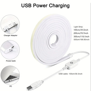 USB Giáng Sinh Dải Ánh Sáng 5V Điện Áp Thấp Linh Hoạt Neon Silicone Cảm Ứng Không Thấm Nước Điều Khiển Thay Đổi Độ Sáng LED Trang Điểm Gương Cạnh Giường Ngủ - Product Image 3