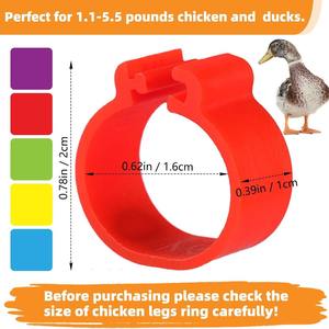 Anillas <span class=keywords><strong>de</strong></span> Identificación para Aves <span class=keywords><strong>de</strong></span> Corral, Multicolores y Numeradas, <span class=keywords><strong>de</strong></span> Plástico con Clip, para Pollos, Patos, Gansos y Pavos - Product Image 2