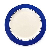 Assiette ronde en mélamine de style nordique avec logo personnalisé bleu, surface brillante, écologique, sans danger pour les aliments, pour les fêtes à domicile
