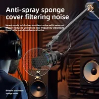 WM8 USB Podcast Microphone filaire Ordinateur Micro Studio Microphone d'enregistrement Mic RGB Gaming Microphone à condensateur avec support