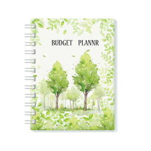 Agenda Finanziaria Mensile, Organizzatore e Libro per la Gestione del Budget. Quaderno di controllo spese per gestire il tuo denaro. Non datato - Product Image 1