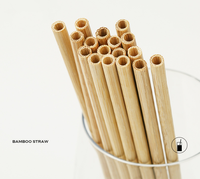 Pailles réutilisables Paille à boire en bambou écologique Pailles en bambou zéro déchet