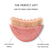 Brosse de massage lymphatique faciale prête à l'emploi, poils synthétiques, manche en plastique, lifting et sculpture de la peau, Gua Sha, masseur beauté pour spa à domicile