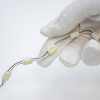 Module étanche 1LED SMD2835 à tension constante d'injection 12V 0.24W/0.1W