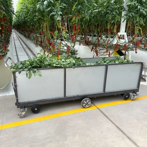 Chariot de récolte pour <span class=keywords><strong>serre</strong></span> de tomates avec roues en nylon à revêtement fluorocarboné, capacité de charge de 500 kg, chariot de collecte de feuilles - Product Image 3