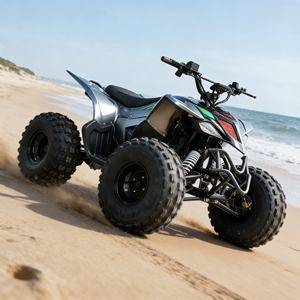 <span class=keywords><strong>Dune</strong></span> Buggy populaire avec moteur de taille moyenne, excellent véhicule polyvalent pour les loisirs dans les dunes et l'exploration tout-terrain générale - Product Image 6