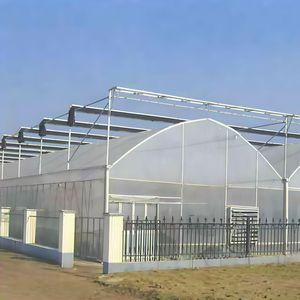 Commerciële Gebruikte Plastic Film Multi-Span Kas Met Hydrocultuur Systeem Voor Aardbei En Tomaat - Product Image 1