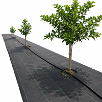 Filet de paillage agricole en PP tissé pour serres, tissu anti-mauvaises herbes pour jardinage en Chine
