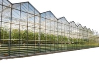 Supplier Rumah Kaca Venlo Pintar Multi-span Komersial untuk Pertanian, Hortikultura, dan Budidaya Bunga