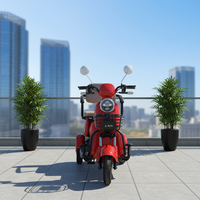 Tricycle à passagers 72V 800W 32AH, tricycle à passagers japonais, vélo électrique, vélo électrique de loisirs