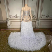 Nouvelle Arrivée Robe de Soirée Longue Sirène Vespera pour Femme, Taille Naturelle Ajustée, Ornée de Diamants, Plumes, Traîne Chapelle, Antistatique, Transparente