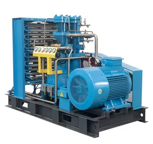 BWbel High Purity PSA Oxygen nitrogen gas production equipment oxygen cylinder filling station gas booster compressor