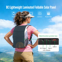 Panneau solaire pliable facile à transporter 30W 45W 60W 80W Module PV ETFE Cellules solaires BC Panneau solaire portable pour la randonnée