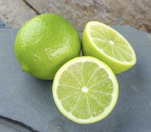 100% naturel Vietnam frais citrons sans pépins en gros produits agricoles de qualité supérieure approvisionnement à l'exportation mondiale compétitif - Product Image 4