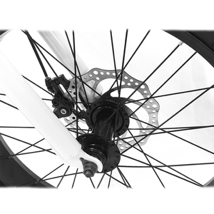 2023 nouveau pas cher e-Trikes 3 roues Cargo Tricycles électriques <span class=keywords><strong>moto</strong></span> trois roues adulte - Product Image 4