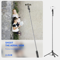 C07 2010mm Perche à selfie pliable et extensible en ABS+acier inoxydable, trépied avec rotation à 360° et télécommande sans fil pour Vlog et diffusion en direct
