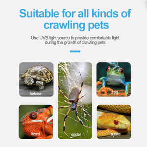 <span class=keywords><strong>Lampe</strong></span> LED solaire à lumière de tortue de Reptile personnalisée avec <span class=keywords><strong>support</strong></span> d'étagère élastique adapté aux Reptiles <span class=keywords><strong>support</strong></span> de <span class=keywords><strong>lampe</strong></span> solaire à LED UVA <span class=keywords><strong>UVB</strong></span> - Product Image 6