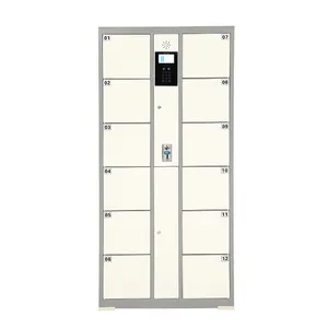 coin operated and pin code electronic cabinet Sport locker coin operated smart intelligence lock for lockers for playground