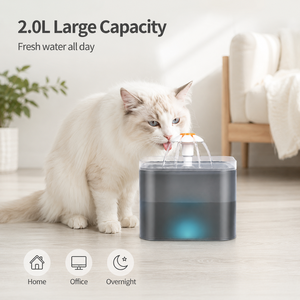 Bebedero para Gatos Ultra Silencioso, Dispensador Automático de Agua con Luz LED, Capacidad de 2L, Filtro, Material PP, Recargable - Product Image 5