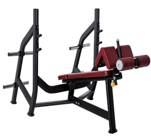 Panca Decline Press Befreeman per Allenamento con Pesi, Attrezzatura per <span class=keywords><strong>Palestra</strong></span> e Forniture per Club Fitness - Product Image 5