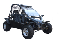 Buggy tout-terrain professionnel 200CC/150cc pour adultes, buggy des sables du désert, transmission par chaîne, 4 temps, kart à pédales, buggy des dunes