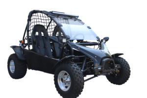 200cc/150cc Dành cho người lớn sa mạc cát Buggy off road Go Kart Dune Buggy - Product Image 6
