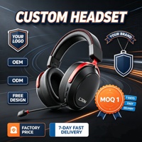 Headset Gaming Nirkabel OEM ODM dengan Peredam Kebisingan, Latensi Rendah, Lampu RGB, Suara Surround untuk Ponsel & Komputer