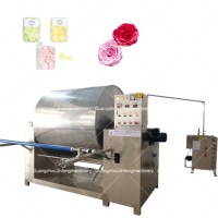 Machine de fabrication de feuilles de détergent à lessive JINFENG Séchoir à tambour Séchoir à feuilles de détergent à lessive de laboratoire