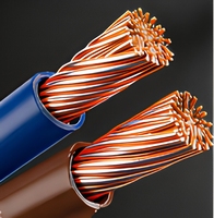 Kabel RVV Berkualitas Tinggi Pasokan Pabrik Grosir 2 Inti dengan Ukuran Berbeda 0.5mm2