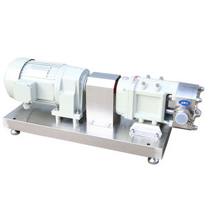 Pompe à engrenages sanitaire en acier inoxydable avec personnalisation OEM Sortie basse pression 500W G1 pour l'industrie alimentaire et des boissons - Product Image 3