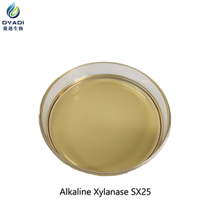 เอนไซม์ทำกระดาษอัลคาไลน์ไซแลนาส SX25 สำหรับฟอกขาวพร้อมควบคุมลิกนิน - Product Image 3