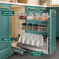Étagère à épices coulissante double couche moderne TKK en acier inoxydable pour rangement de cuisine, organisateur de condiments pour tiroir de placard
