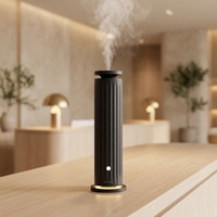 Nouveau diffuseur d'huiles essentielles sans eau, silencieux, à faible bruit, de luxe, OEM, CE, ROHS, 120 ml, pour bureau, salle de spa, chambre à coucher