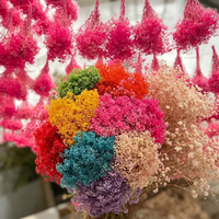 Bunga Gypsophila Awet Abadi Million Star DIY Bahan Buatan Tangan 30-70cm Lampu Tenaga Surya Dekorasi Rumah untuk April Mop