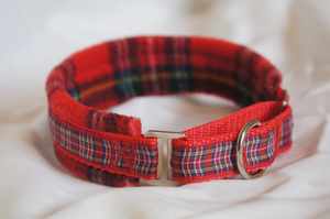 Doublé polaire, collier Martingale, tartan Royal Stewart, largeur 35mm, marche pour chien, collier confort, collier sans frottement - Product Image 1