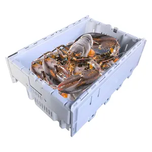 wholesale durable ventilated nestable stackable turnover breathable plastic lobster crate for seafood fishery