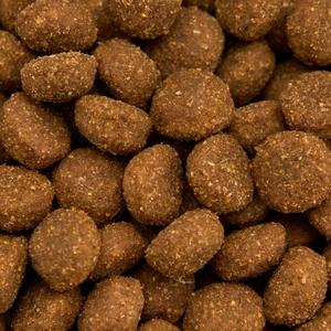 HANOU Makanan Kucing Kering Alami Tinggi Protein - Bentuk Ikan Formula Kesehatan Pencernaan untuk Semua Tahap Hidup - Product Image 4