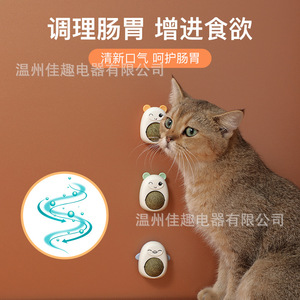 Balle à chat à la catnip, jouet pour chat, nettoyage des dents, durable, amusant pour les chatons, fournitures pour chats, jouets pour chats - Product Image 4